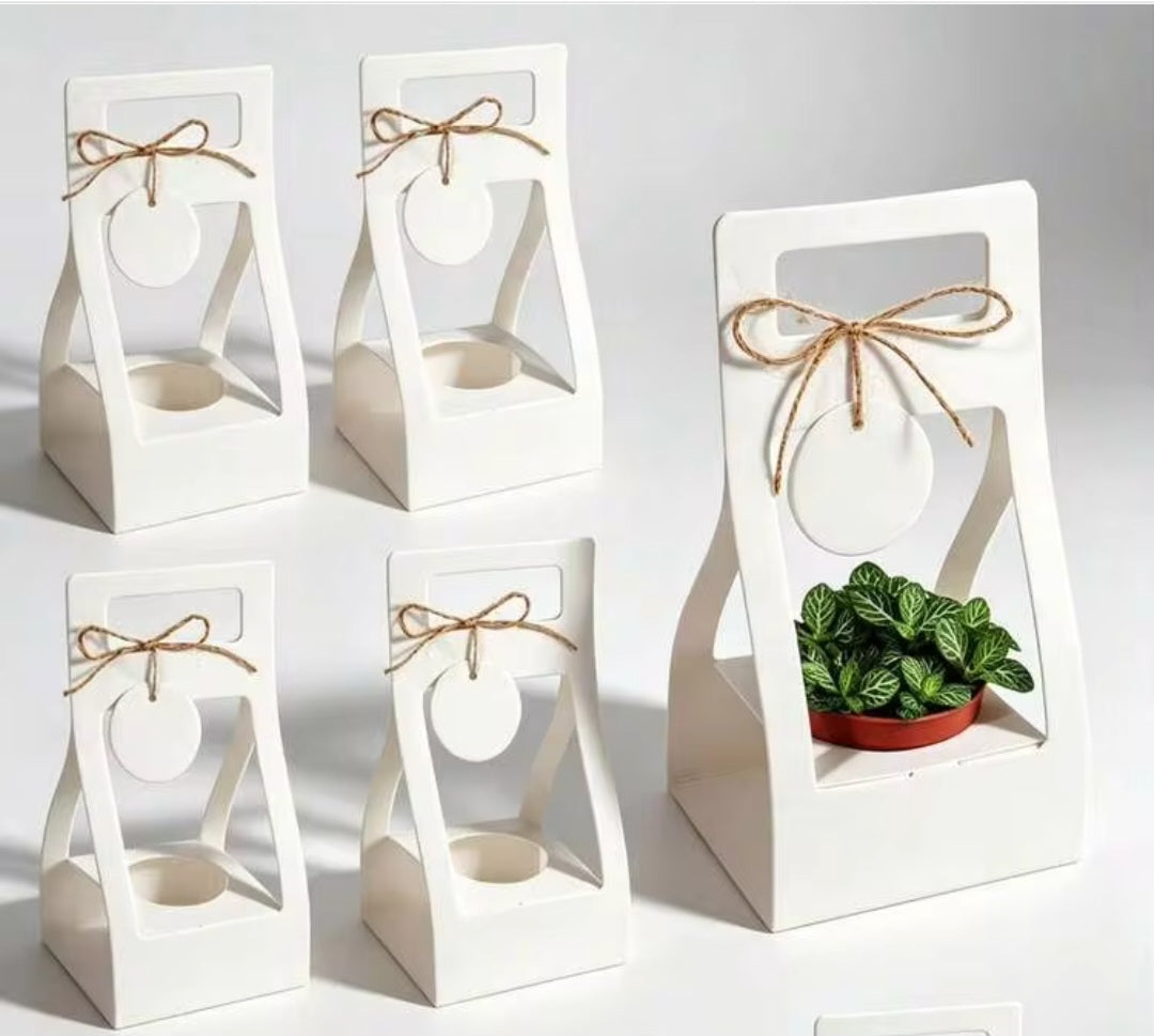 Succulent Party Favor boxes (qty. 10) for 2 in bottom flowers pots, Best for any Occasion