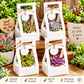 10 Pcs Kraft Paper Succulent Boxes, 2 Inch Pot Holder, Party Favor Gift Bags