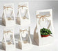 Succulent Party Favor boxes (qty. 10) for 2 in bottom flowers pots, Best for any Occasion