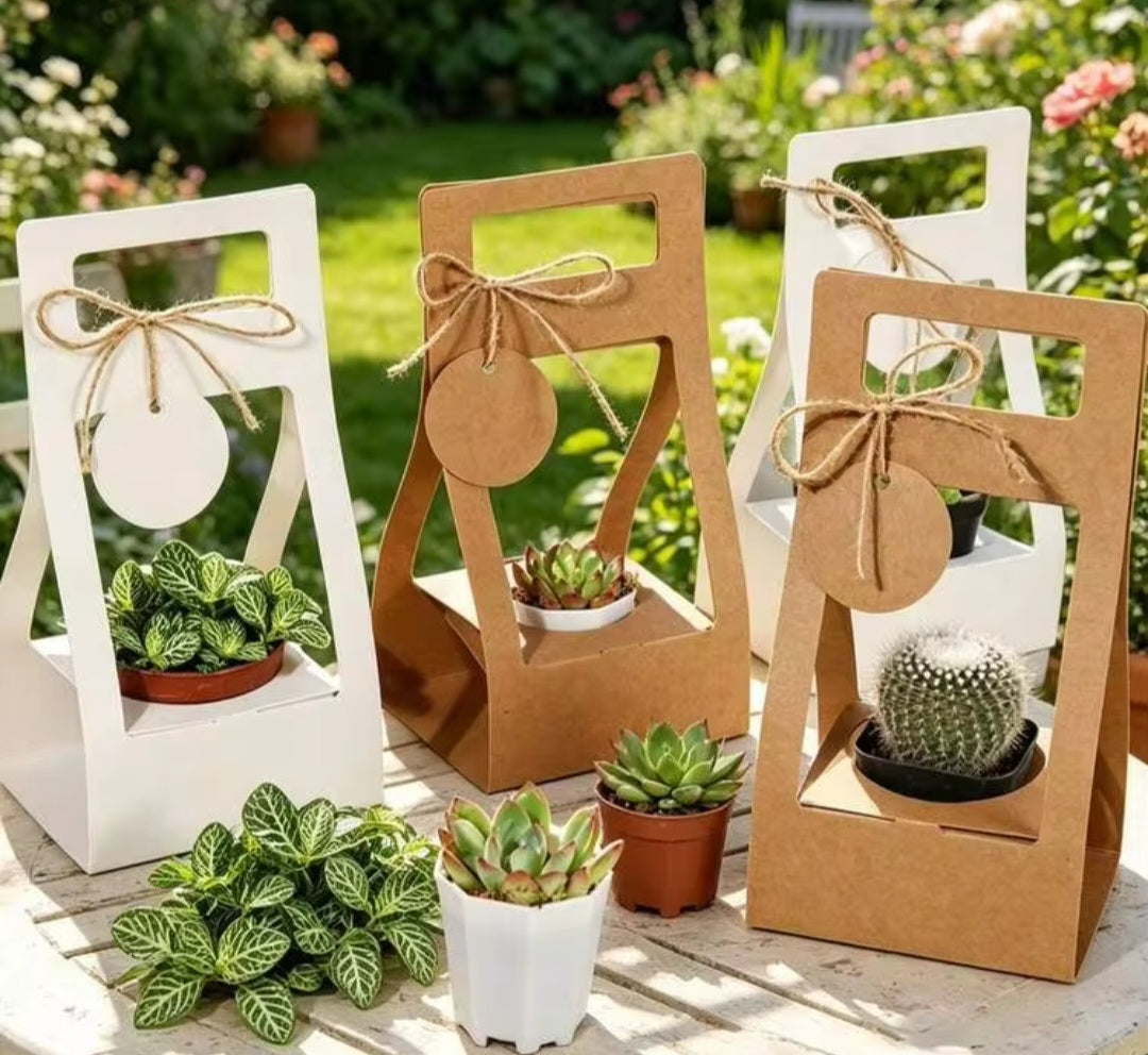 Succulent Party Favor boxes (qty. 10) for 2 in bottom flowers pots, Best for any Occasion