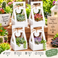 10 Pcs Kraft Paper Succulent Boxes, 2 Inch Pot Holder, Party Favor Gift Bags