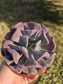 Echeveria Cubit Frost (4" pot) Succulent Plant